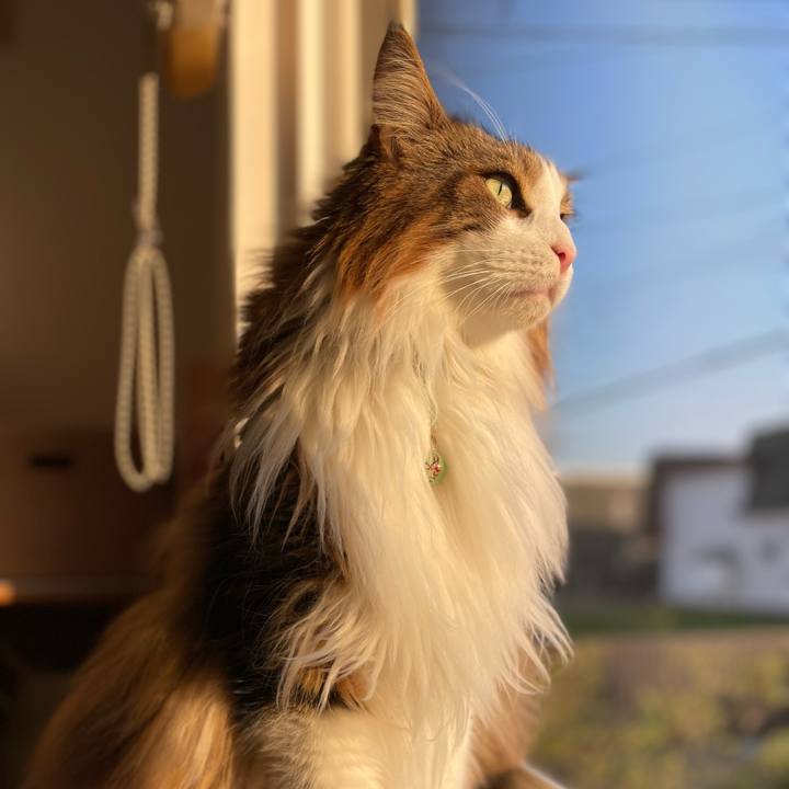 43e76fc9 28fa 42e0 8db0 e836e9ebbb35 1748679314761