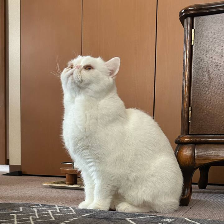 43e7783d 015c 4cf2 ac1c 0f698ce23ae9 1766843728300