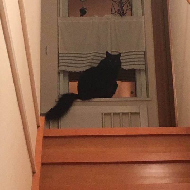 43e7c64f d584 4923 a413 b8a32a704b77 1535459951455