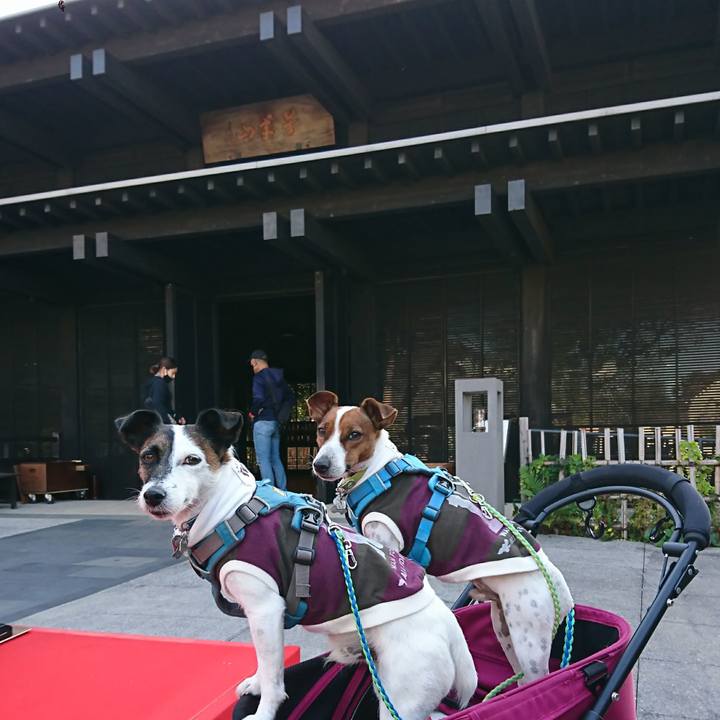 43e7c916 ac04 4610 94f9 416ddf4d06d6 1604126191650