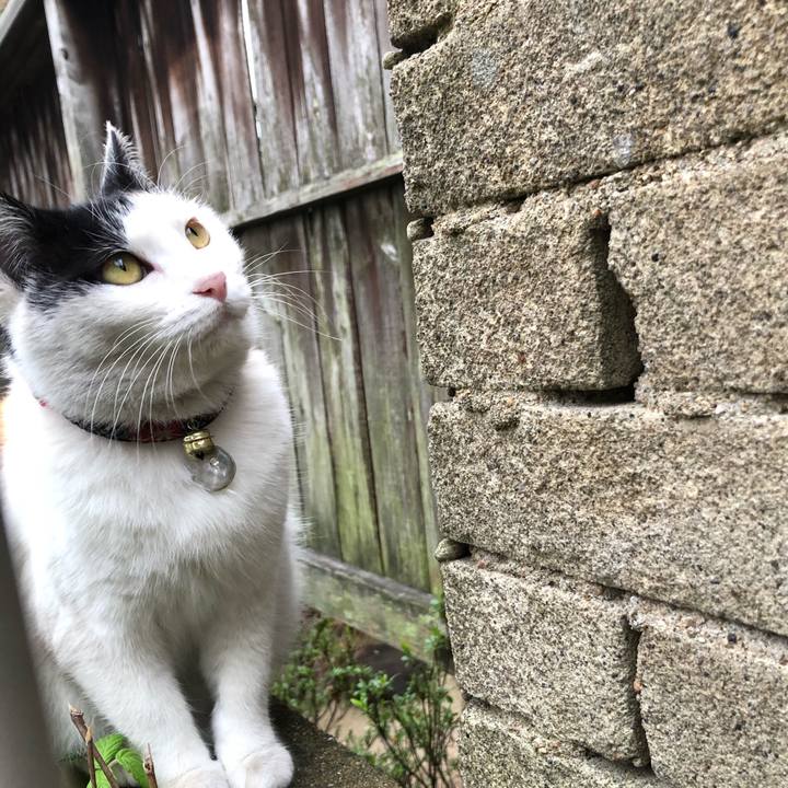 43e7e4ba 1563 4870 907f a68b4a64c8b8 1615898660412