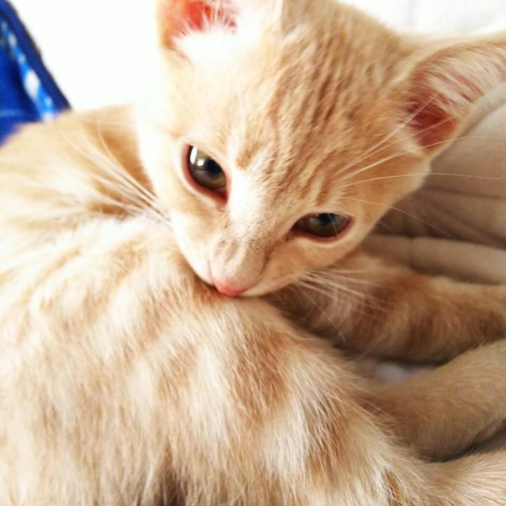 43e7f5df bec3 4ba3 af82 671373dc82d2 1540704972865