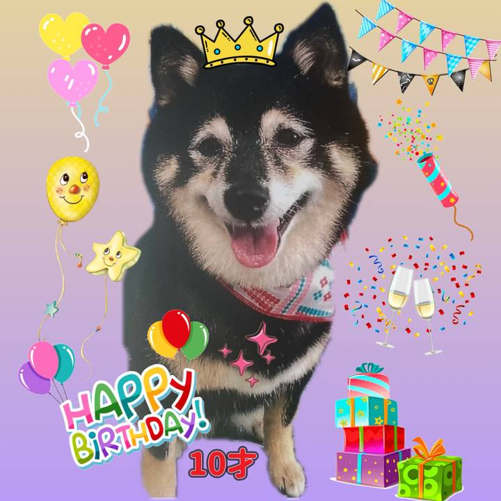 43e8288f fee0 4c12 aba9 48b42fbdf281 1758702825360