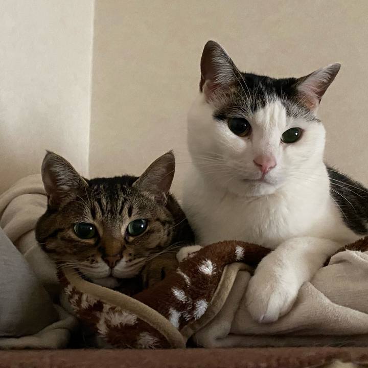 43e854d2 de30 4489 9691 8635c5d7fc3c 1770445533948