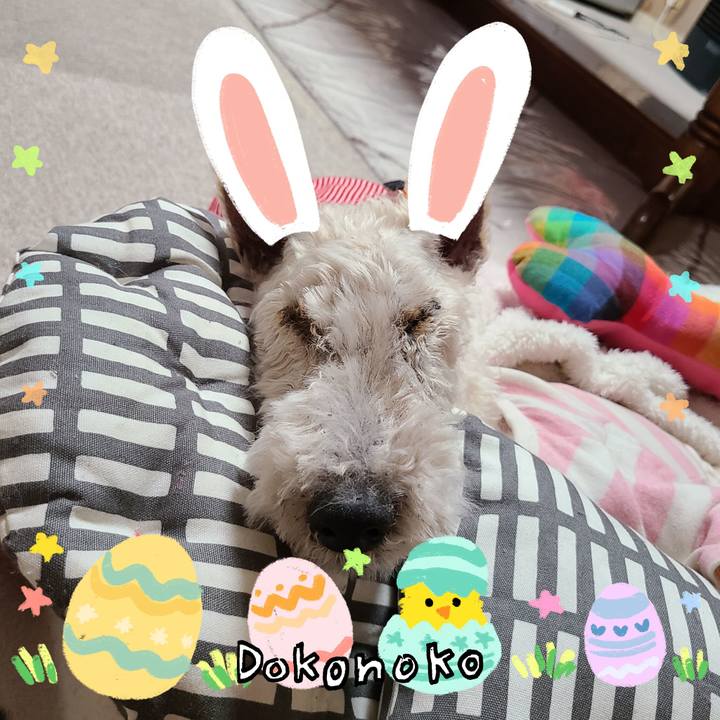 43e886fe 54ad 4d26 a464 eb4f6f537a01 1712321665769