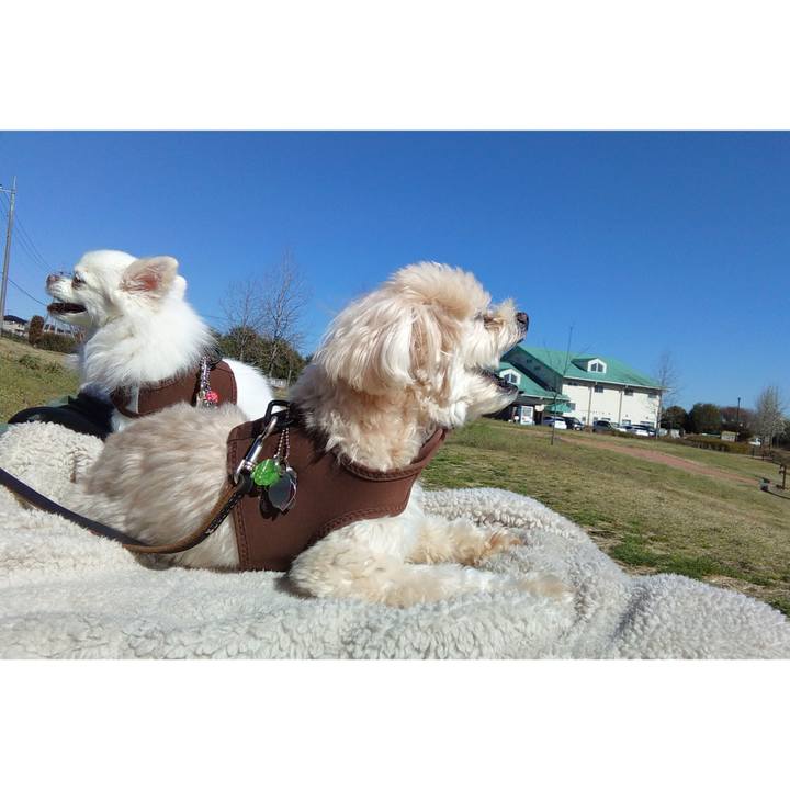 43e89d46 68c7 4410 a42c 44c859120f77 1679216555062