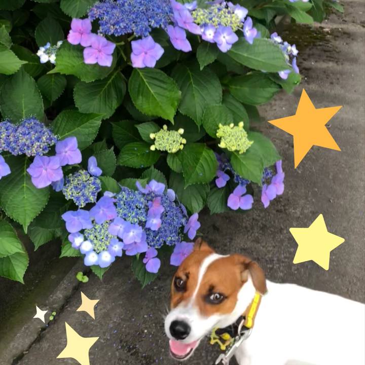 43e8b487 f799 411e be76 869f2b967055 1533912354000