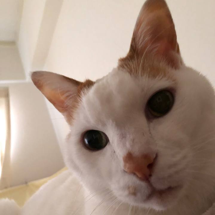 43e90f0e 97d5 4b28 a680 b30c83b825e4 1645484839867