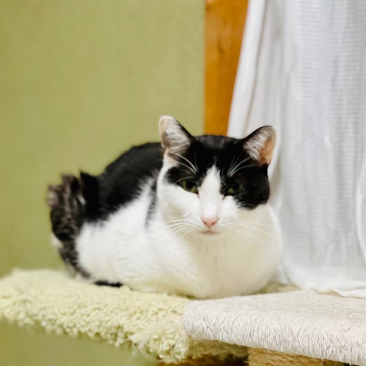 43e9147e ceb4 4873 abc1 6915c4797069 1604019897319