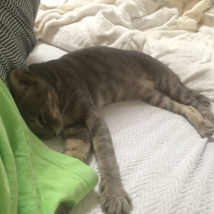 43e96498 f25b 4b2f 8c47 b75852cd3dda 1532878054626