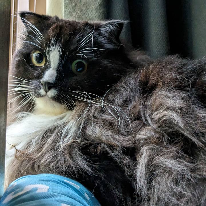 43e996c1 1f1b 4e1d 8606 6bb60c542f45 1694898972529