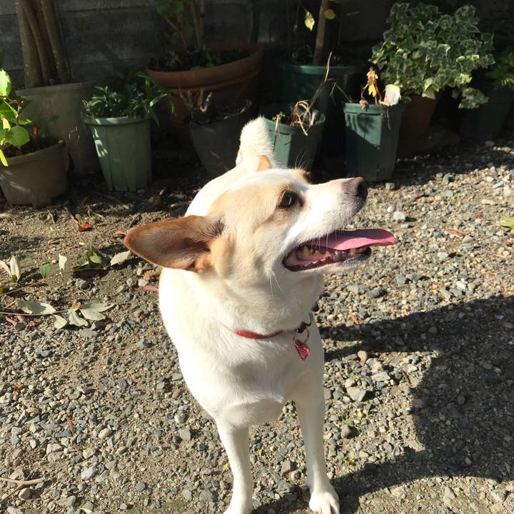 43e9a127 3110 48b4 b2e2 a49c6528af2f 1597893414572