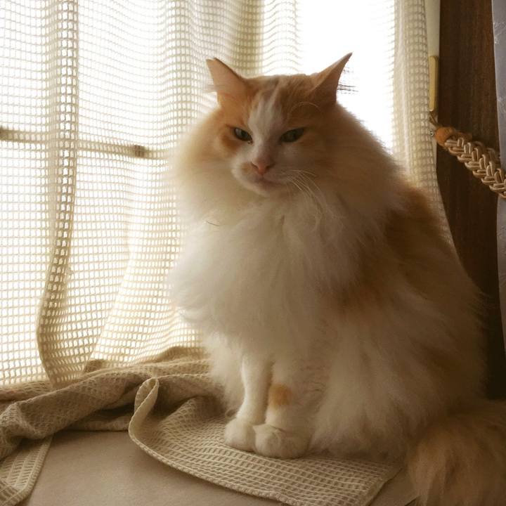 43e9cc90 d769 4147 9b14 c0e59144976b 1555452609822