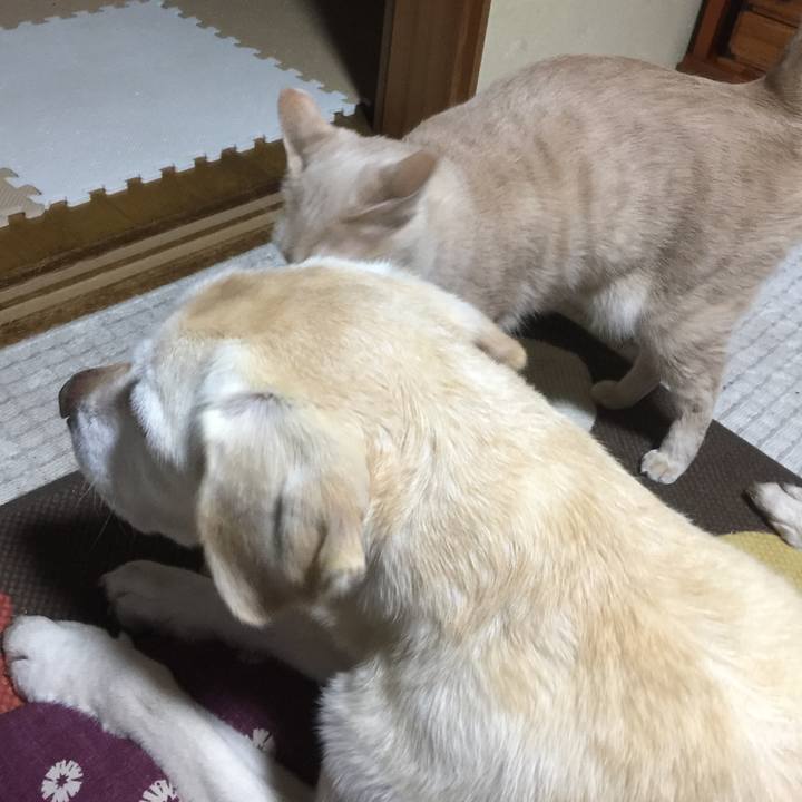 43e9f120 4683 486d 8d97 952f6a55f9e8 1520328497285