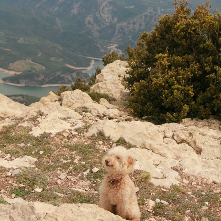 43ea1f1c 6a8f 4d81 89e9 f0e6b4dd68f7 1556470530546