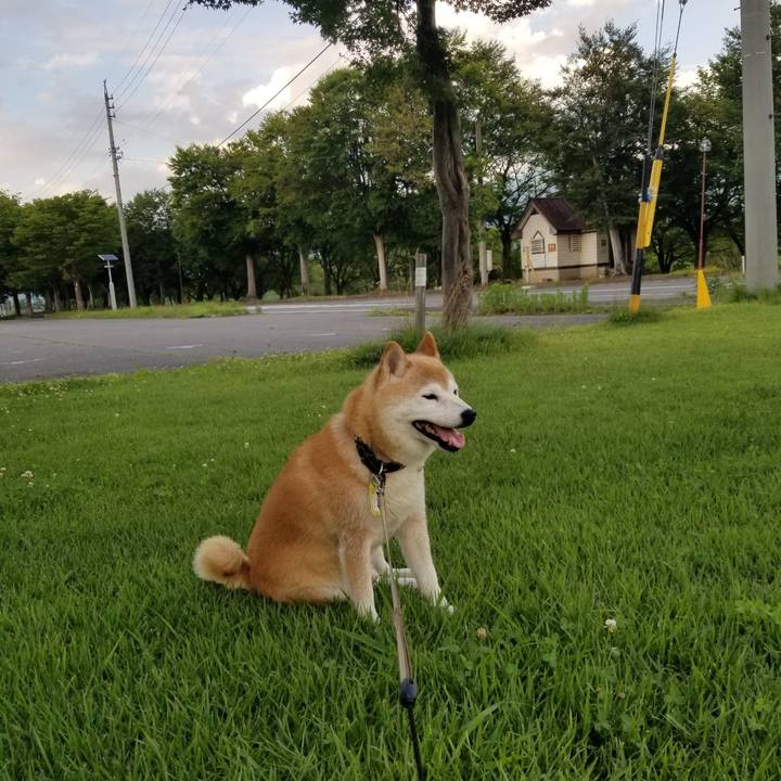 43ea2714 17c7 494f b3ea 04a9a15d0ed8 1658997817216