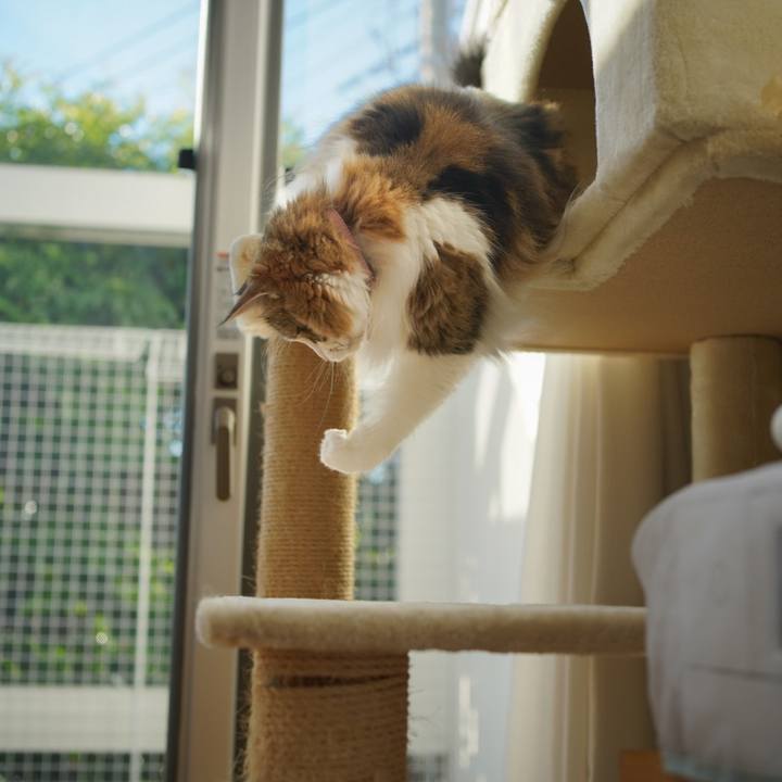 43ea48fd bd82 4deb 82c7 098b7cc268c0 1698888821552