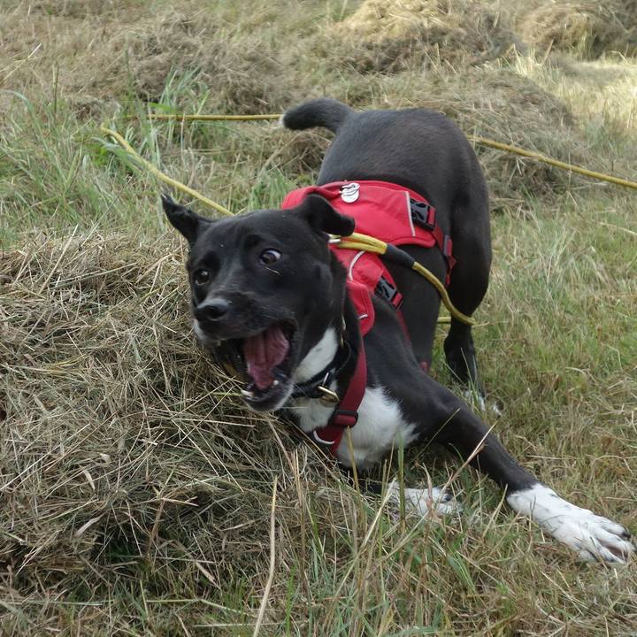 43ea5cd8 b6b1 4975 8c75 5bf2603453dd 1603239000172