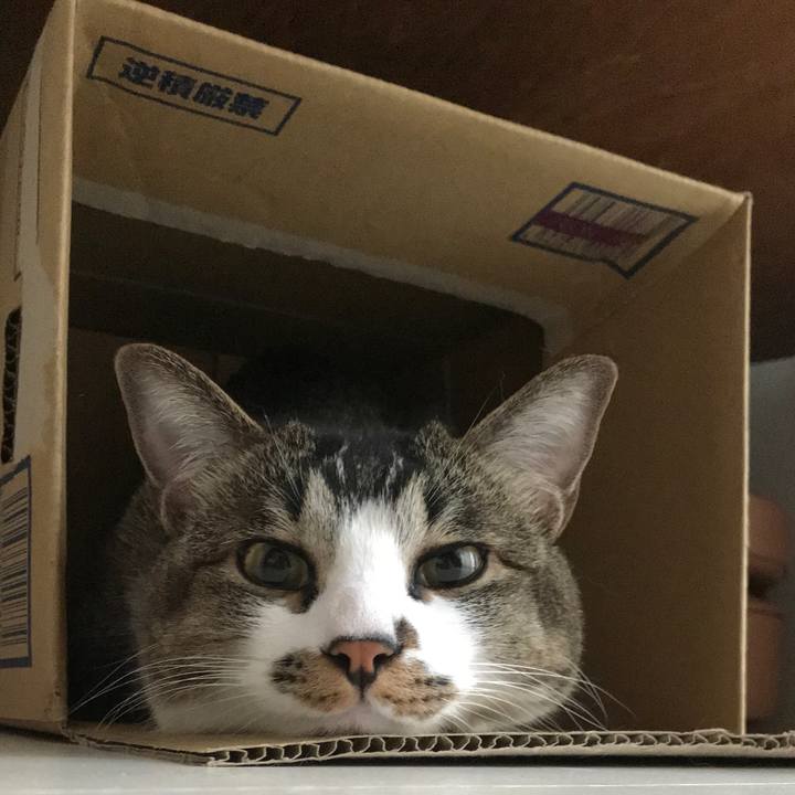 43ea8aa2 655b 4029 8b96 37db7392bddb 1528288060739