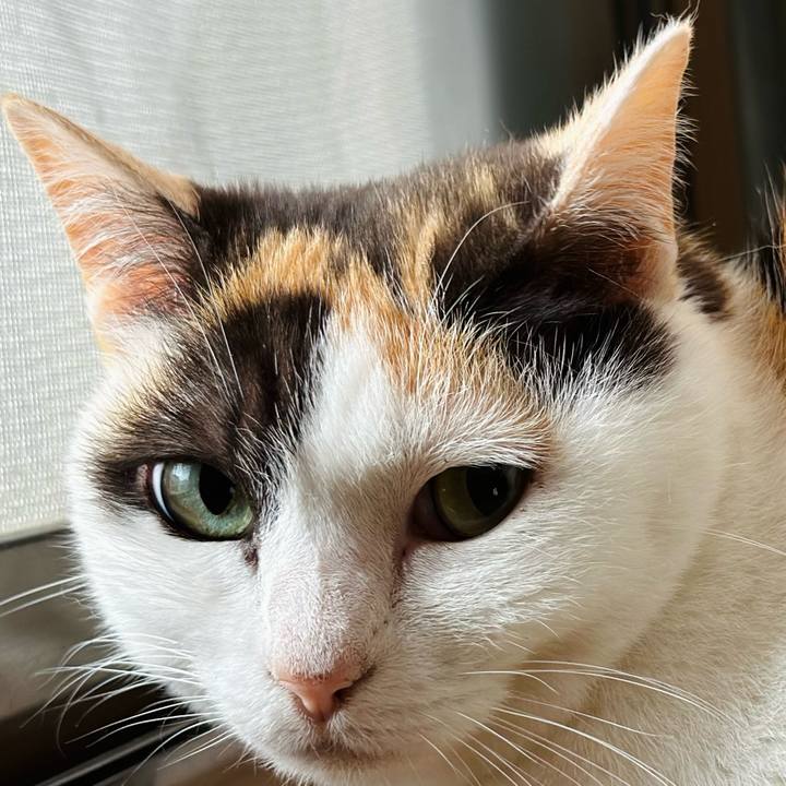 43eaac96 271a 4167 be8a f1b599f92cd8 1717205827649