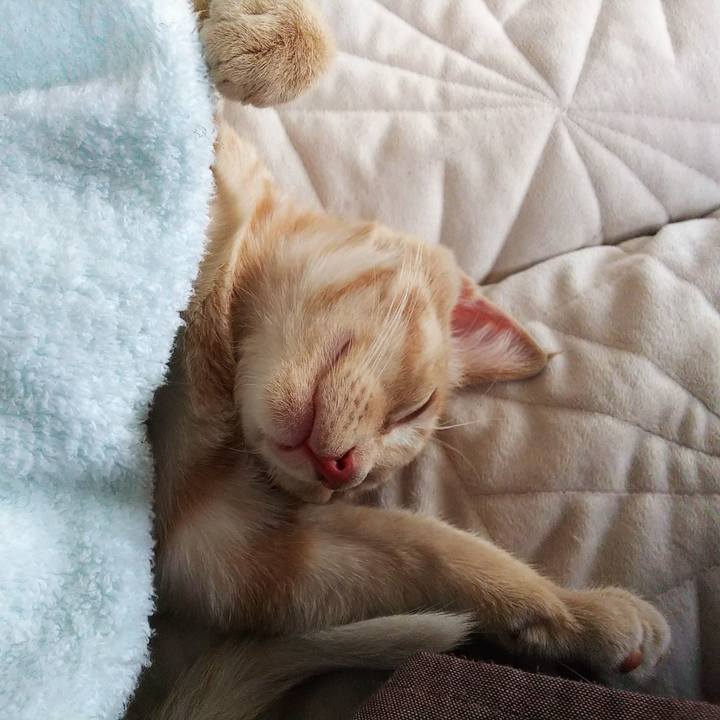 43eb1d52 eb9f 41cb a7d8 8578ab9f854e 1541821629764