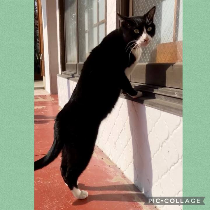 43eb222a 9352 4c10 9801 a542db37d940 1737514916731