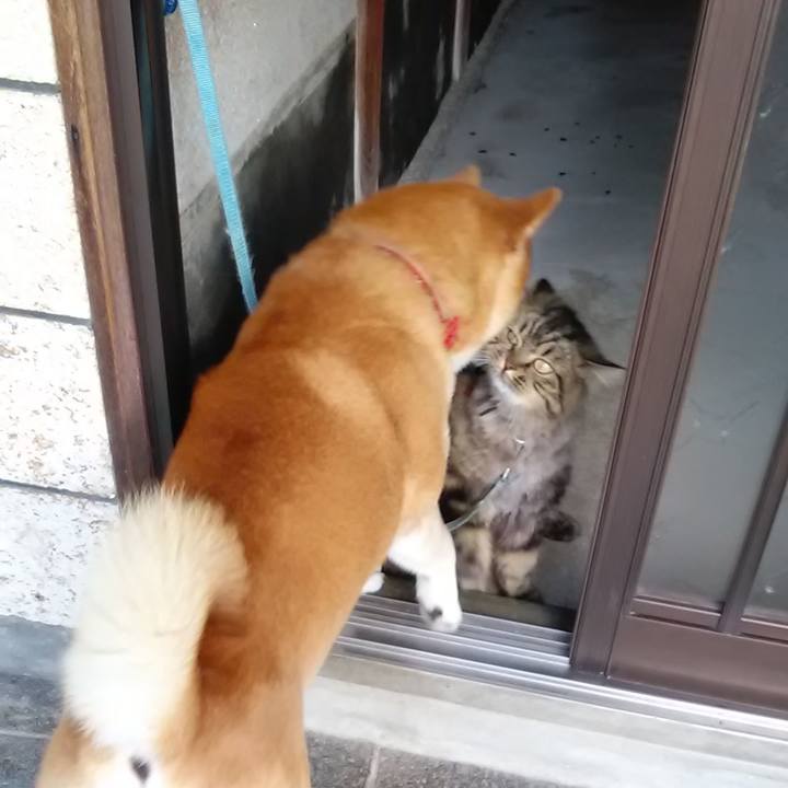 43eb4268 0305 4b32 9c9b ee1c74c34825 1627457657405