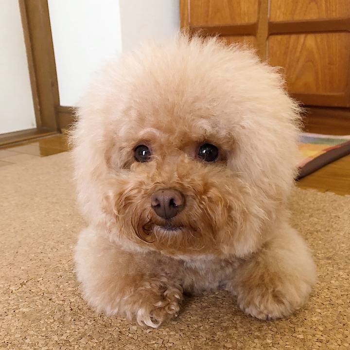 43eb512c edc4 4e0e 8928 9f1bffc06d94 1539316435311