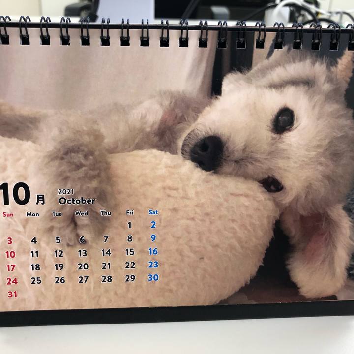 43eb67b4 fce2 4cdb ad2d f71e07fb8ea0 1633159663589