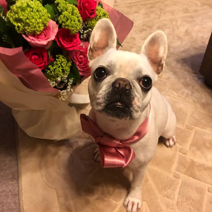 43eb7060 a5ab 4df4 ab9a 22b961c5967d 1557660154084