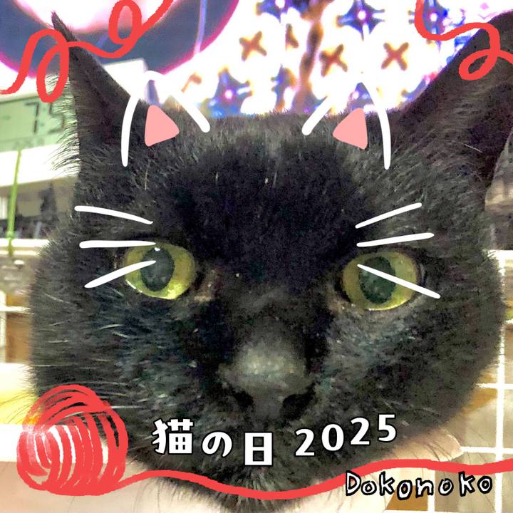 43eb8a37 c98e 445c 977c 3addc64e39ff 1740201328700