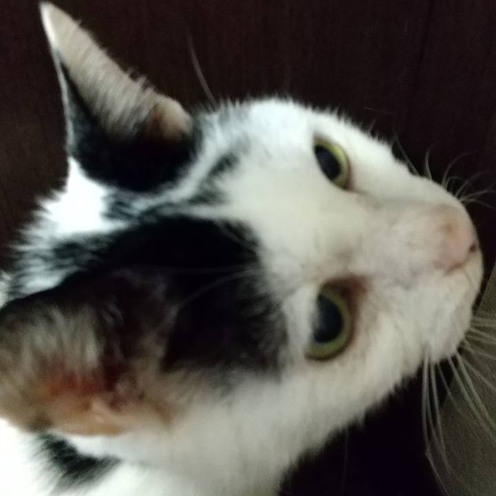 43eb98eb 2d36 403a a150 00270423478f 1731408712207