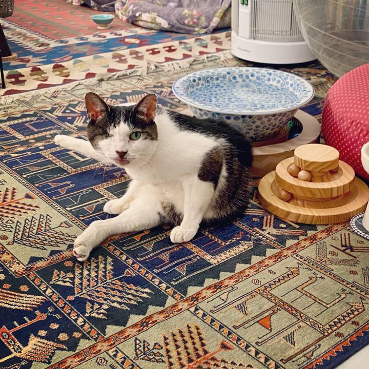 43ebf138 eb0c 4b69 b39c 82d53c66e48b 1623570010497