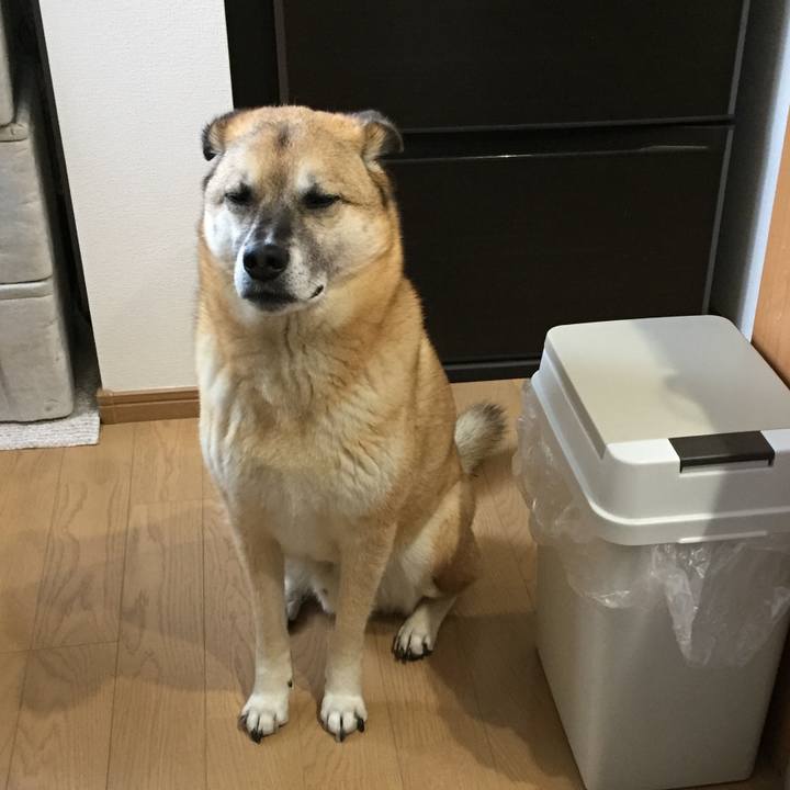 43ec1a56 5f19 4f5e a8c6 8cecb0803b57 1523752727924