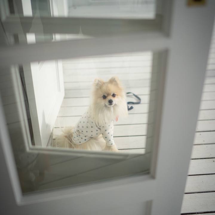 43ec2a94 e41c 4afe 9455 178a5b791160 1549025151190