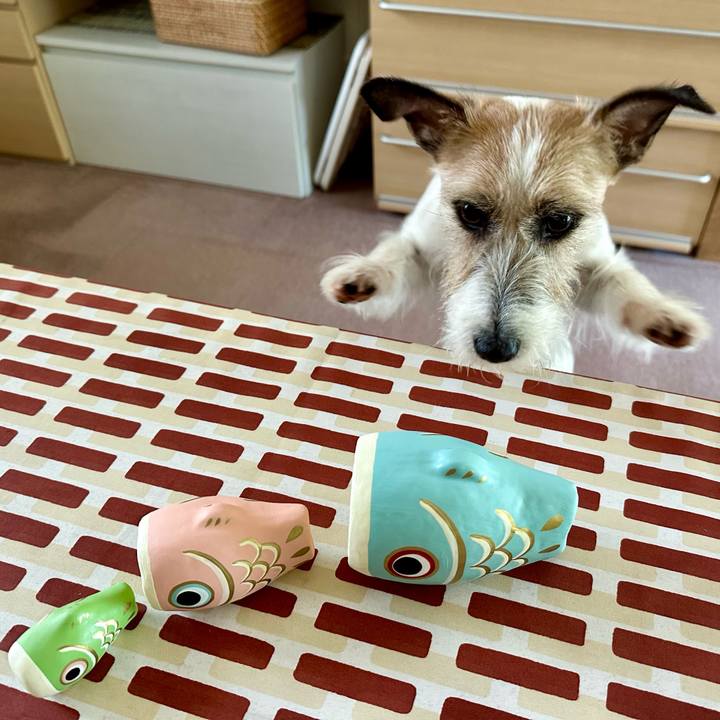 43ec2b07 2ebc 4652 ae77 825e71293cc7 1714886358442