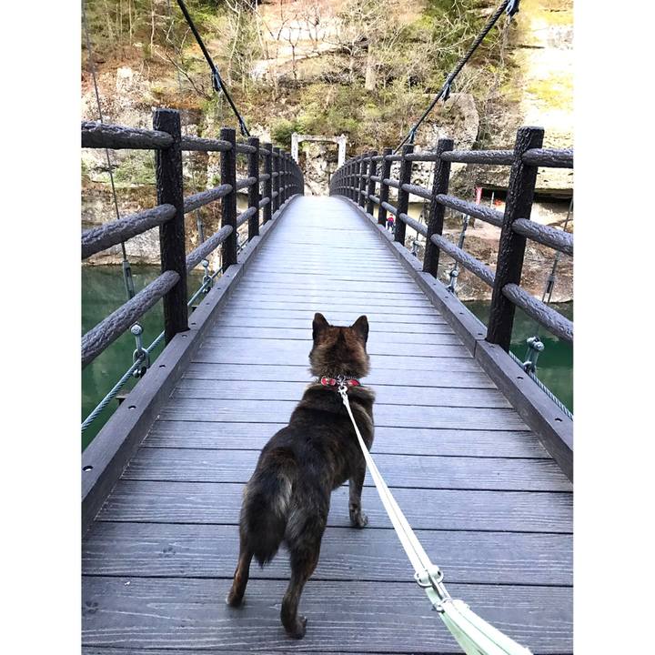 43ec2f63 f47a 43bc b2d4 08c99f339677 1556869505652