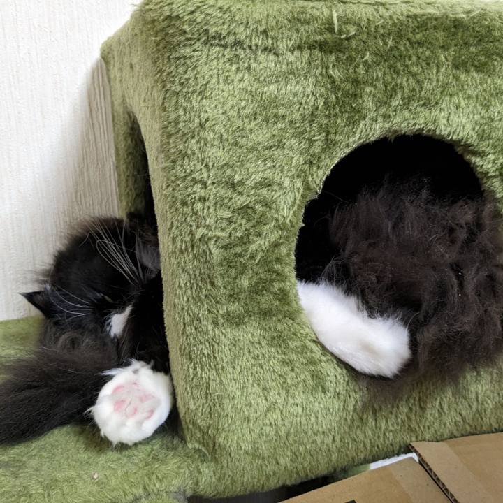 43ec6014 0054 4bfb 98ef 9028db28bc71 1702258144273