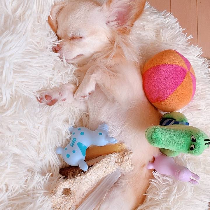 43ec6055 5db6 44ad 9970 b1aa87366c77 1628566736534