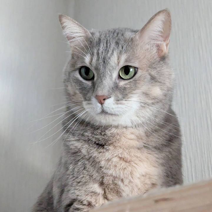 43ec66ea c3f0 4d3b a72c 66e021177231 1732172142447