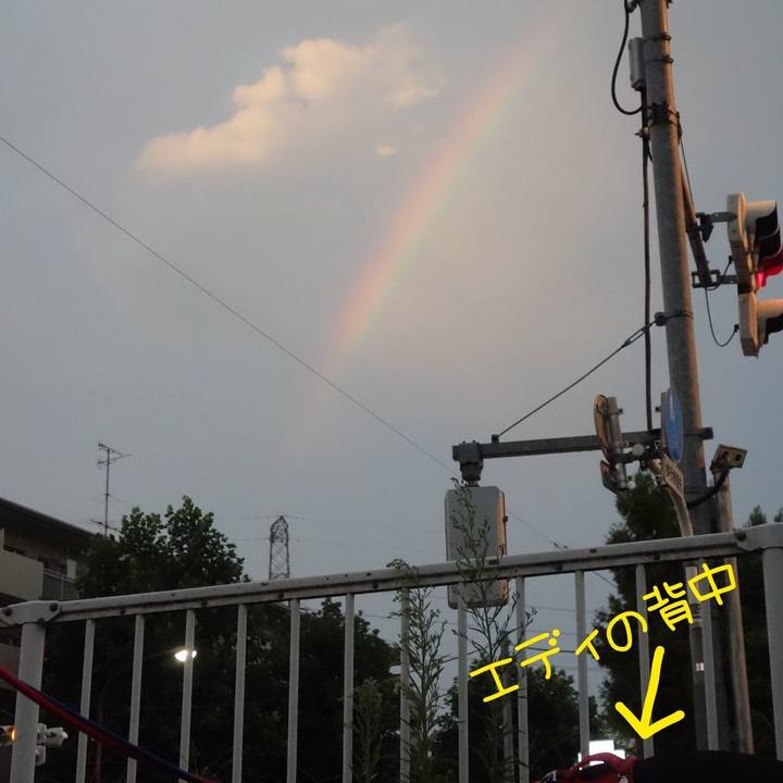 43ec6919 9161 44f1 af02 11bc142401b1 1597228737295