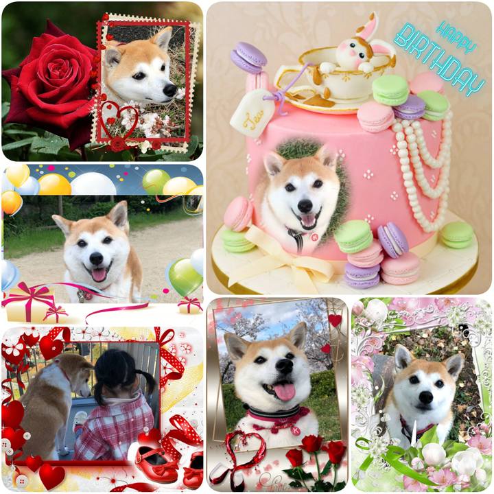 43ece082 f7ce 4abd a9f8 3c0109817fc6 1591924641877