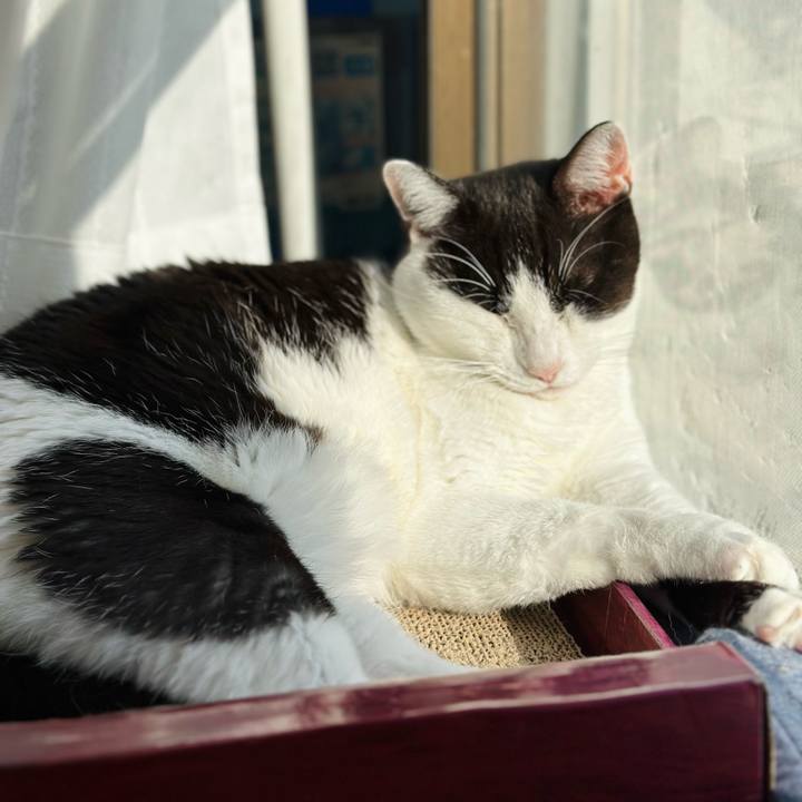 43ecfe82 77d2 474a 9f73 3dfd20d29e0a 1671156587368