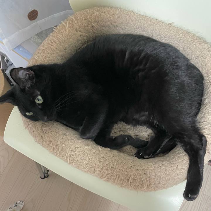 43ed8c80 a3cc 44ef 901f 824fc2377461 1678450809164