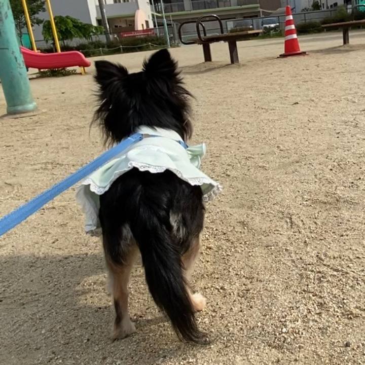 43edcb3e 39bb 4735 bfb1 9fcc76625fd0 1652138335115