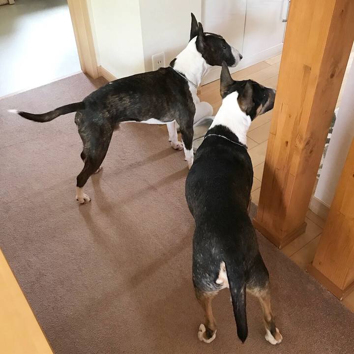 43edd2cc be2d 452d 807a 5ca8d024594a 1527313092752