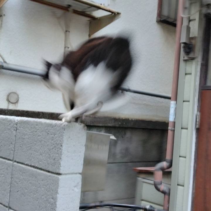 43ede5e1 50c1 4fe6 8771 3ad9ceaee5d0 1707811749431