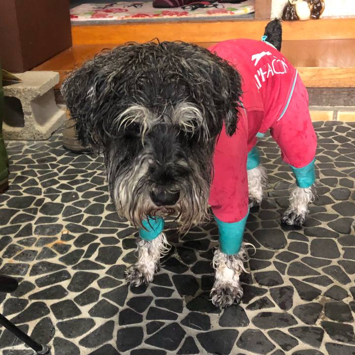 43ede847 0508 4396 ab95 e25f465ce3a0 1622759571642