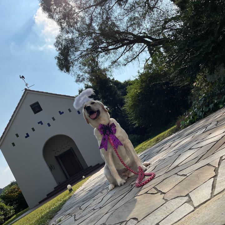 43ee30b2 e084 4193 8f05 9272adbc7078 1635405969227