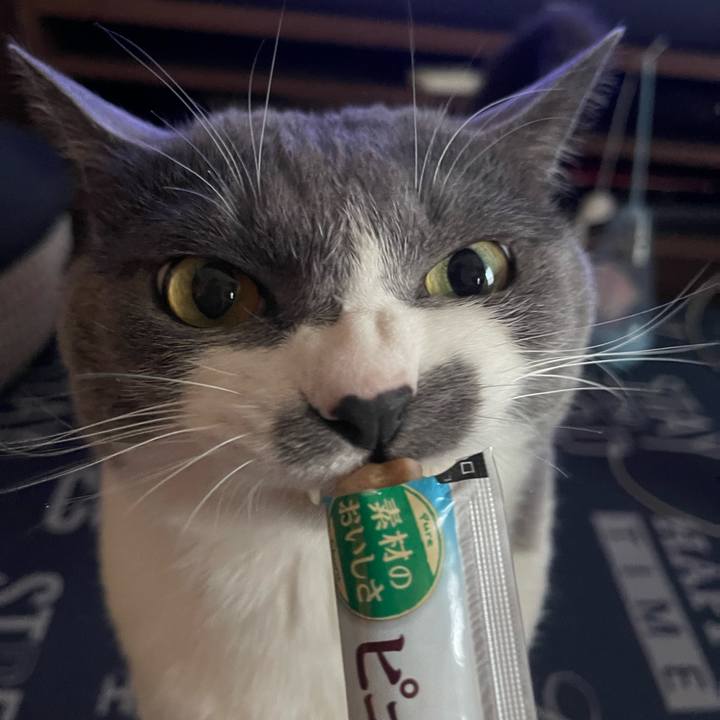 43ee43fd 440f 434e 823e f0298b7aa977 1715417711786